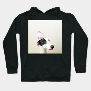 Party Pooper Hoodie